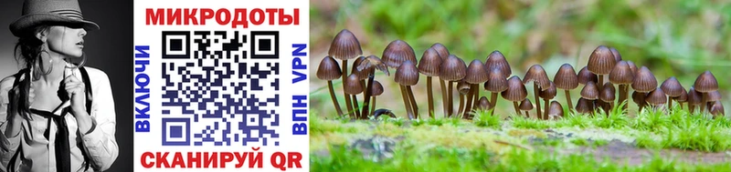 Псилоцибиновые грибы Cubensis Спасск